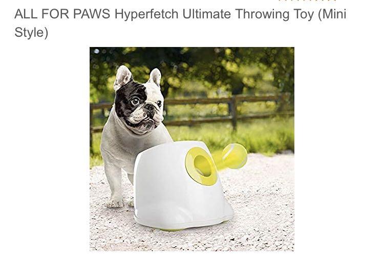 fetch dog supplies