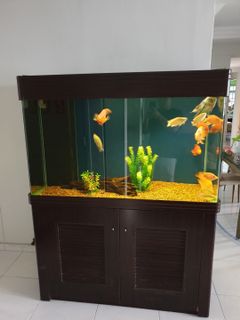 (Category: ) located in . Submitted by oreolo (Listing ID 1000357165, Image 1). Description: .