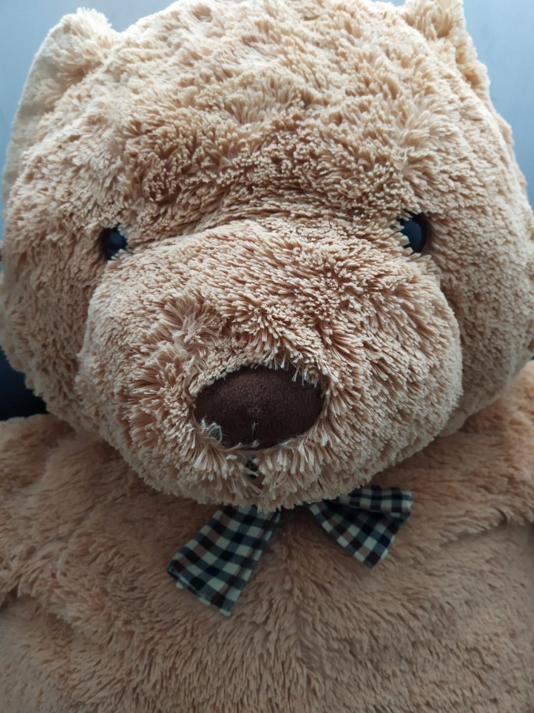 teddy bear jumbo
