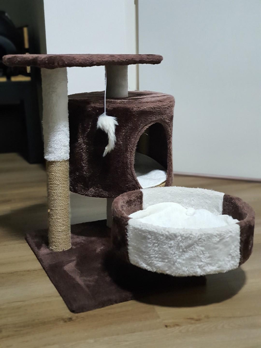 cheapest cat condos