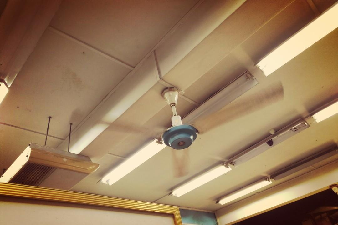 Mistral Ceiling Fan (rebranded Heller) Early 2000s