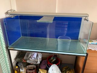 (Category: ) located in . Submitted by ysronald (Listing ID 1000553635, Image 1). Description: .