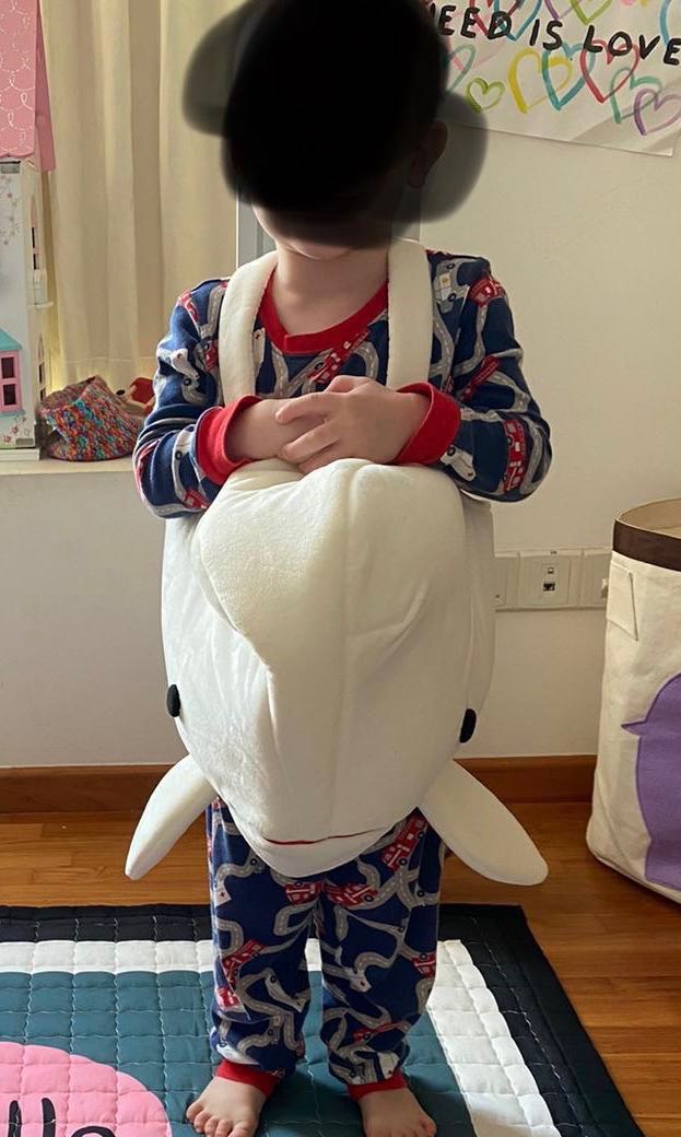 Beluga Whale Kids Costume Babies Kids Babies Kids Fashion On Carousell