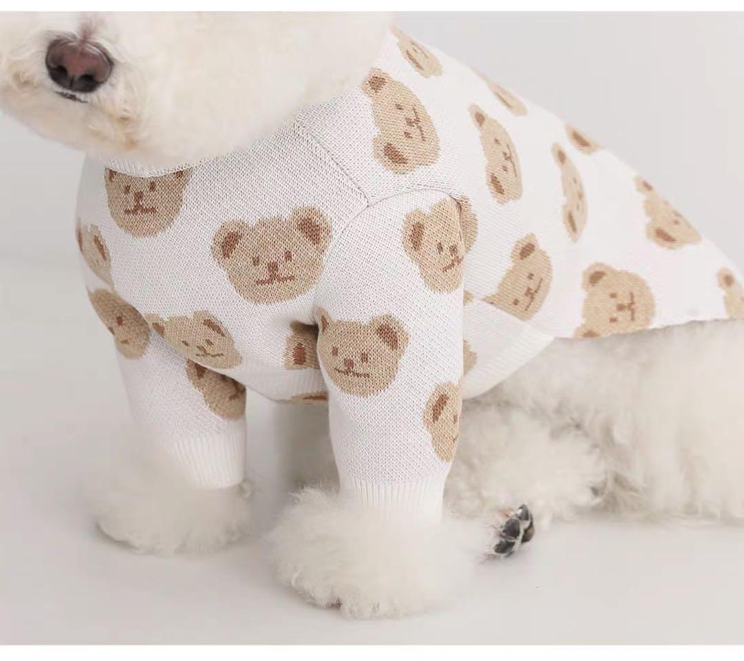 korean teddy bear dog