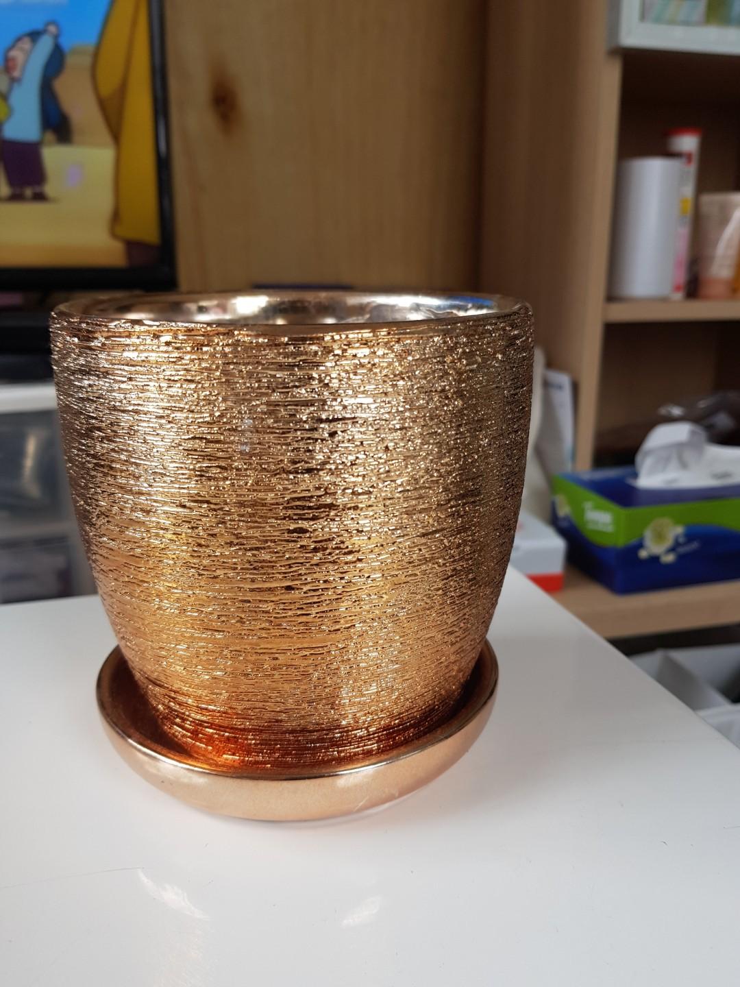 未用過 玫瑰金色花盆 傢俬 家居 家居裝飾 家居裝飾 其他 Carousell 未用過 玫瑰金色花盆 傢俬 家居 家居裝飾 家居裝飾 其他 Carousell