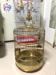 （分類：）位於 。 由 waterwlo 提交（商品編號 1000771274，圖片 1）。簡介： 。