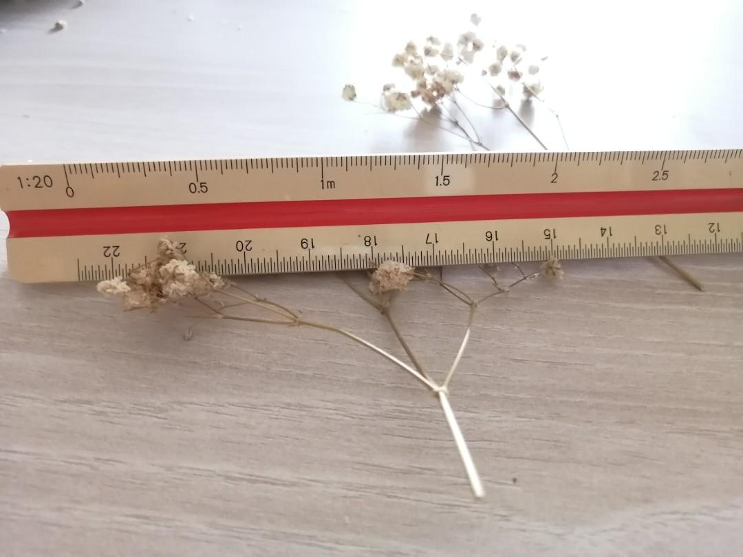 Saintograph Ruler Saintograph scale ruler, Hobbies & Toys, Stationery & Craft, Stationery ...
