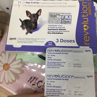 （分類：）位於 。 由 ib.28 提交（商品編號 1000791891，圖片 1）。簡介： 。