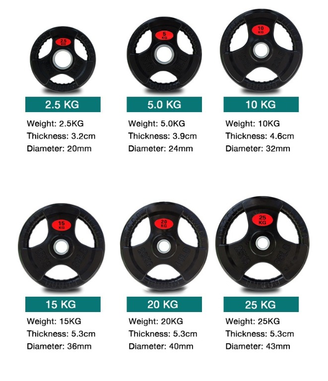 Instock Olympic Weight Plate, Sports, Weights & Gym Equipment on