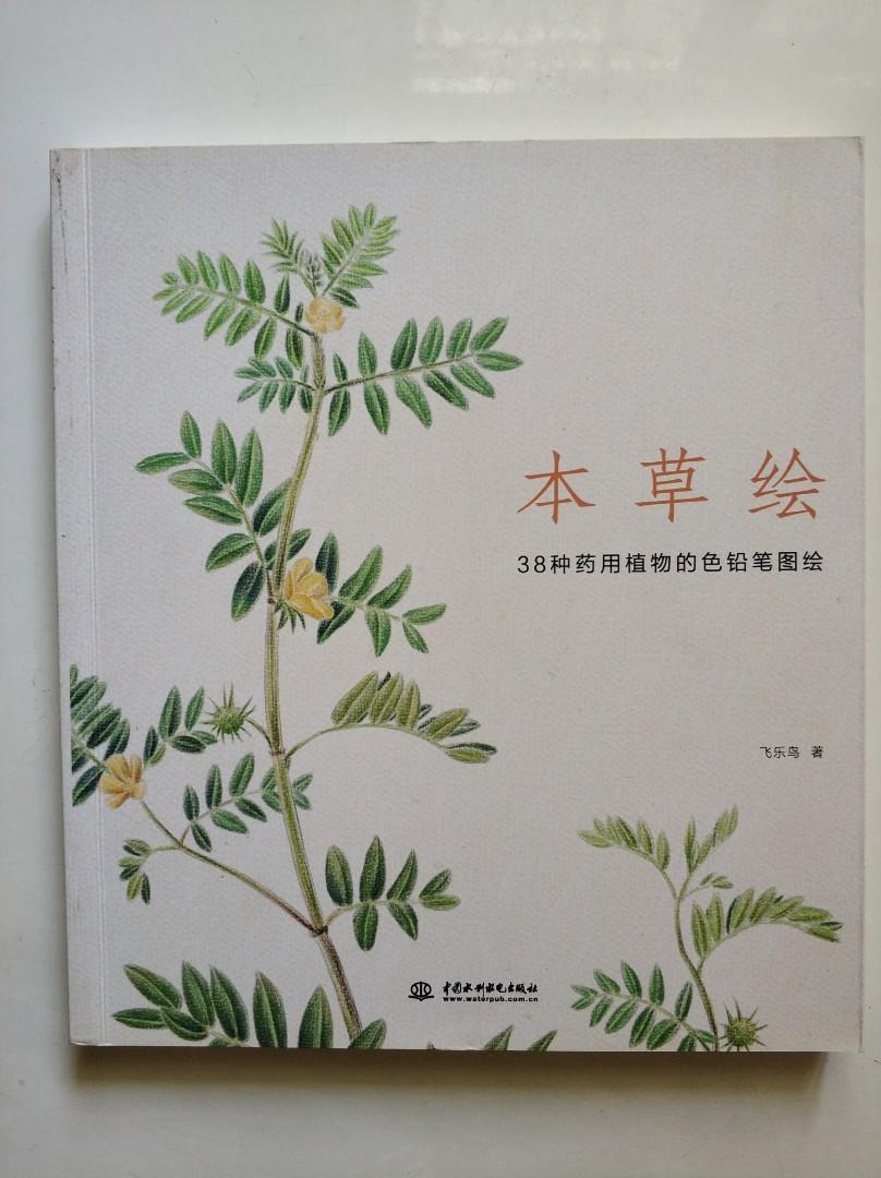 本草繪38種藥用植物色鉛筆圖繪飛樂鳥正版9成新 書本 文具 雜誌及其他 Carousell