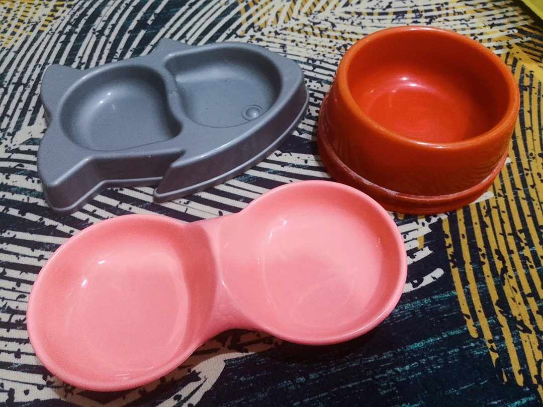 Bekas Makanan Kucing Pet Supplies Pet Accessories On Carousell