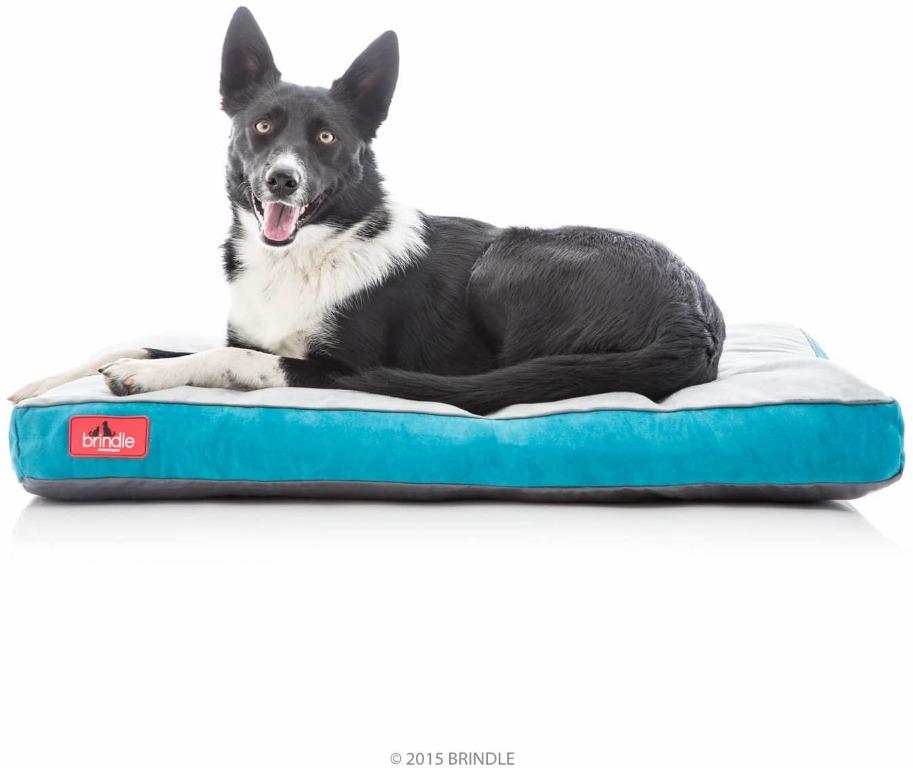 HOT Brindle Soft Shredded Memory Foam Dog Bed with Removable Washable Cover 34 x 22