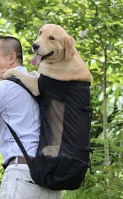 carrier for large dog