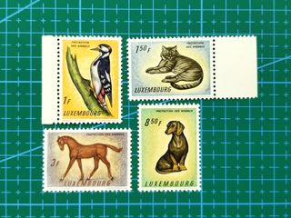 （分類：）位於 。 由 angus.choi 提交（商品編號 1001151671，圖片 1）。簡介： 。