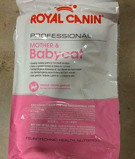 prong collar application