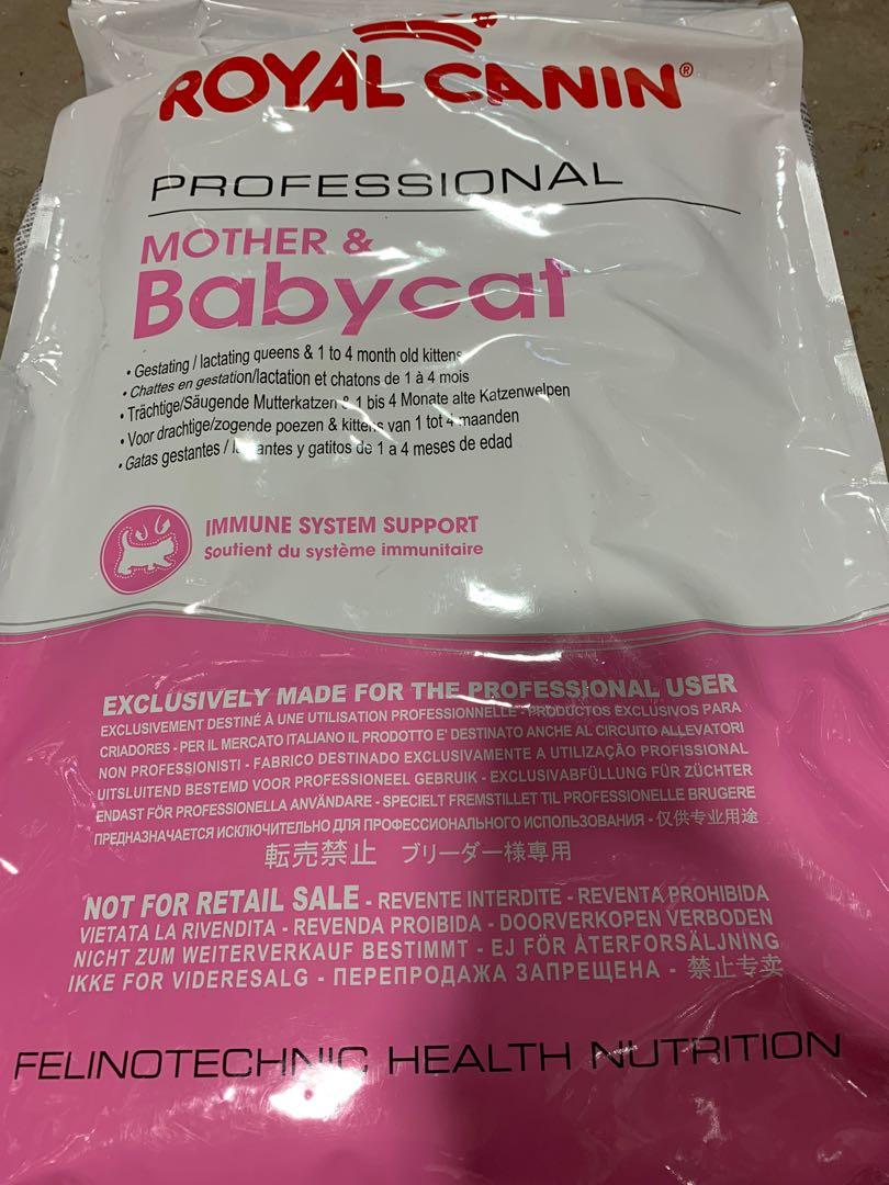 royal canin professional mother and baby cat