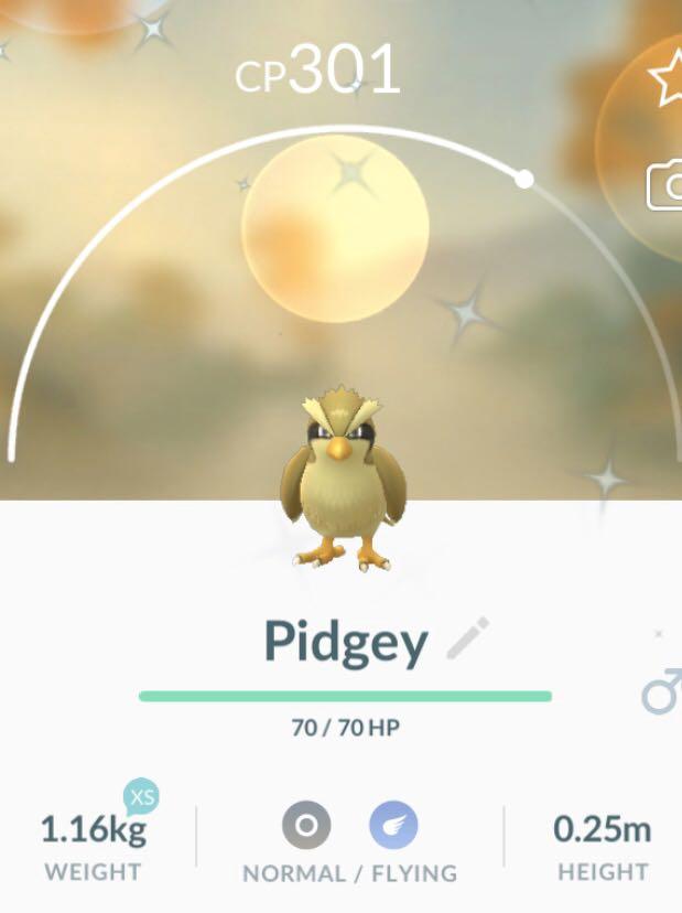 Shiny Pidgey Pokemon Go Reserved Queue No 4 Video Gaming Gaming Accessories Game Gift Cards Accounts On Carousell