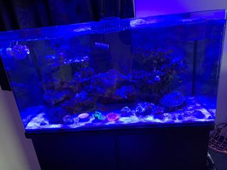 （分類：）位於 。 由 rafmo9 提交（商品編號 1001414503，圖片 1）。簡介： 。