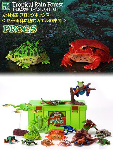 Tropical Rain Forest Frogs, Part 1 (Real Figure Collection Box by