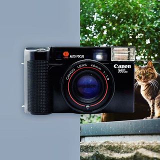 （分類：）位於 。 由 ddisg 提交（商品編號 1001295409，圖片 1）。簡介： 。