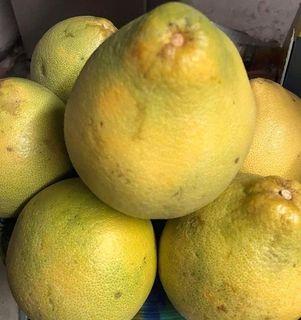 Davao Menzi Pomelo fruit