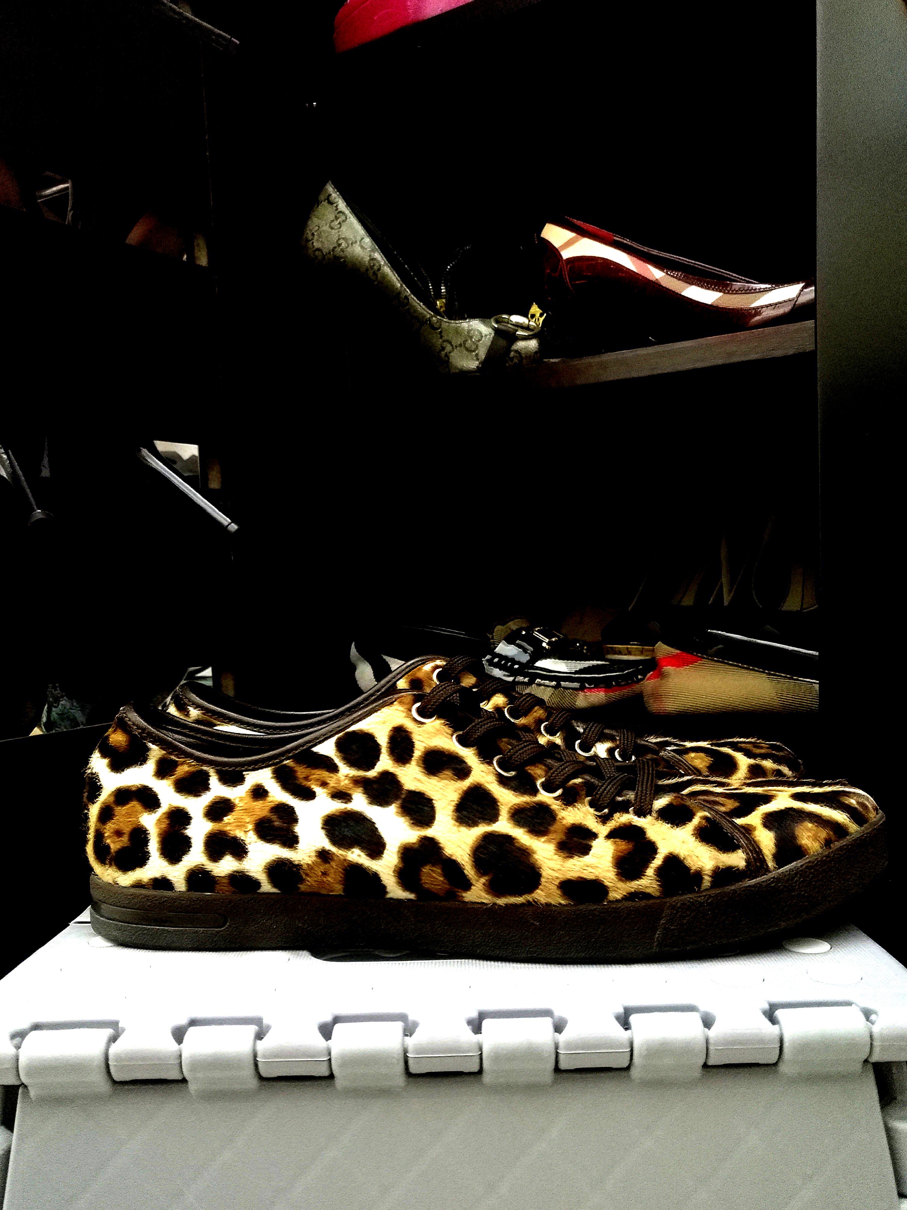 dolce & gabbana women's fashion sneakers