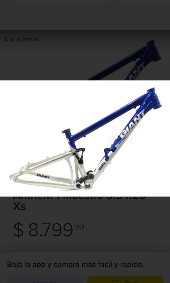 giant frame price