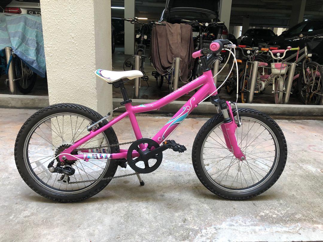 mongoose kids mountain bike