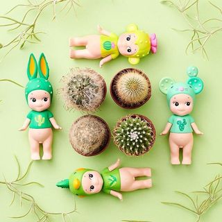 （分類：）位於 。 由 kari07 提交（商品編號 1001252513，圖片 1）。簡介： 。