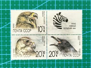 （分類：）位於 。 由 angus.choi 提交（商品編號 1001555454，圖片 1）。簡介： 。