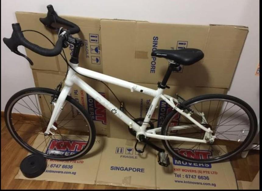 dahon cadenza solo