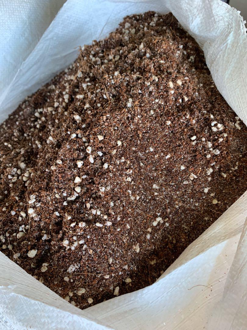 Best Potting soil homemade perlite + sand + cocopeat