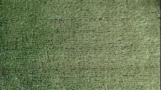 10 mm Grass Carpet with Freebies