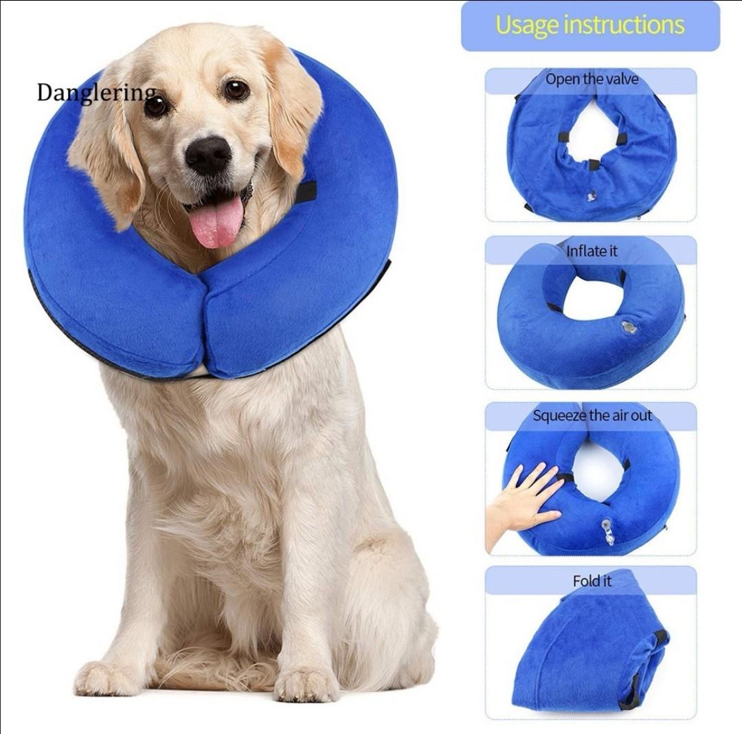Air cone for dogs clearance