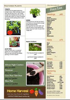 Home Farming/Seedlings for Sale