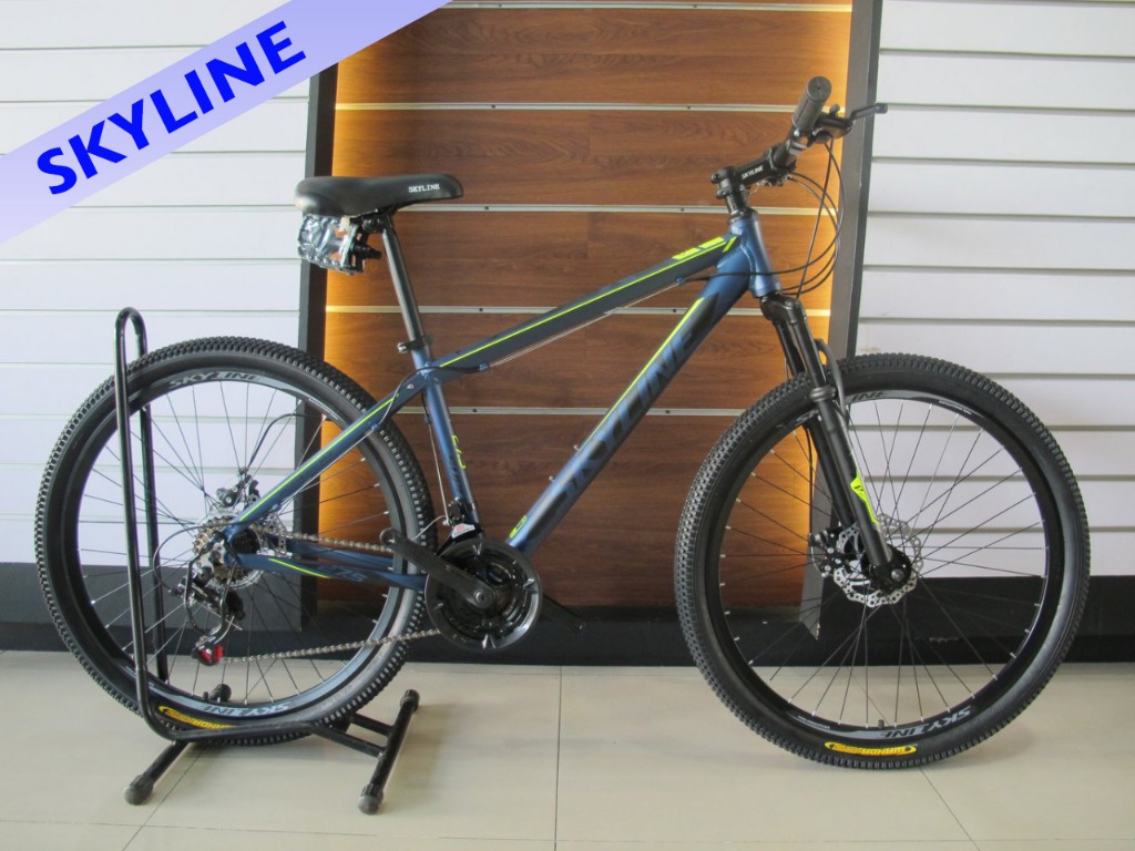 skyline mountain bike