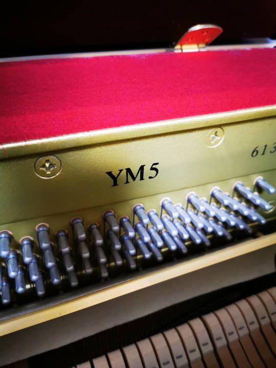 鋼琴 Yamaha YM5 Piano, 興趣及遊戲, 音樂樂器 & 配件, 樂器 Carousell