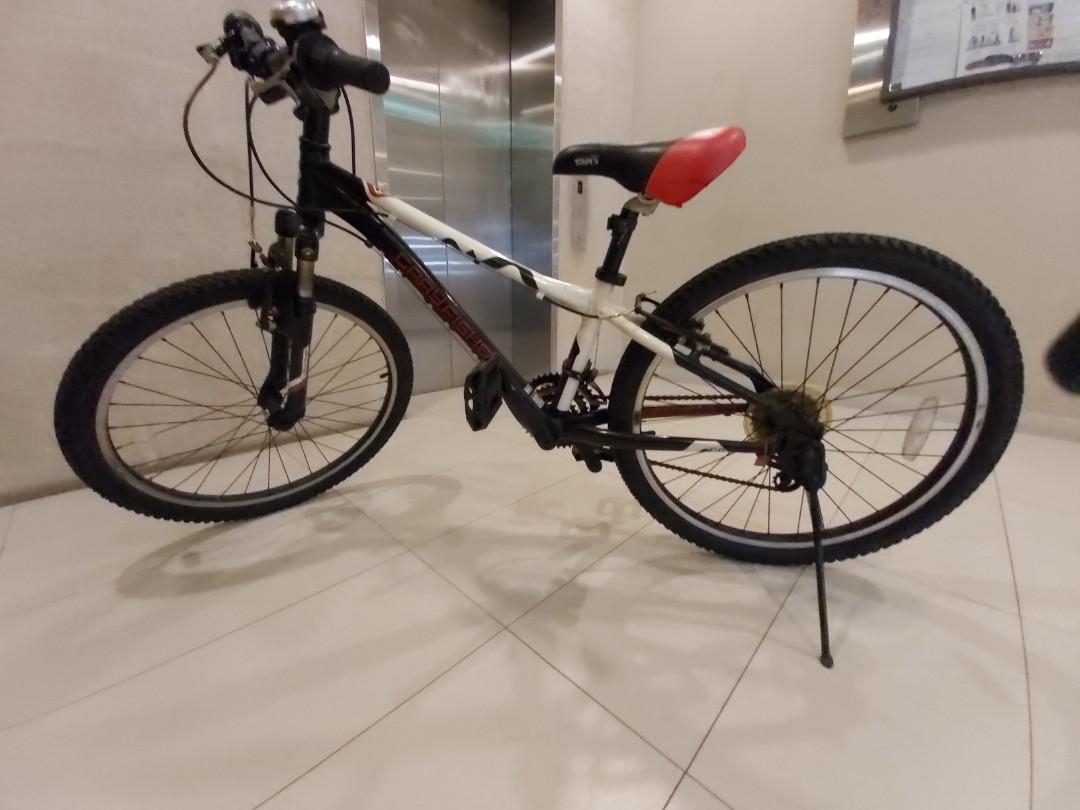 hybrid bike for teenager