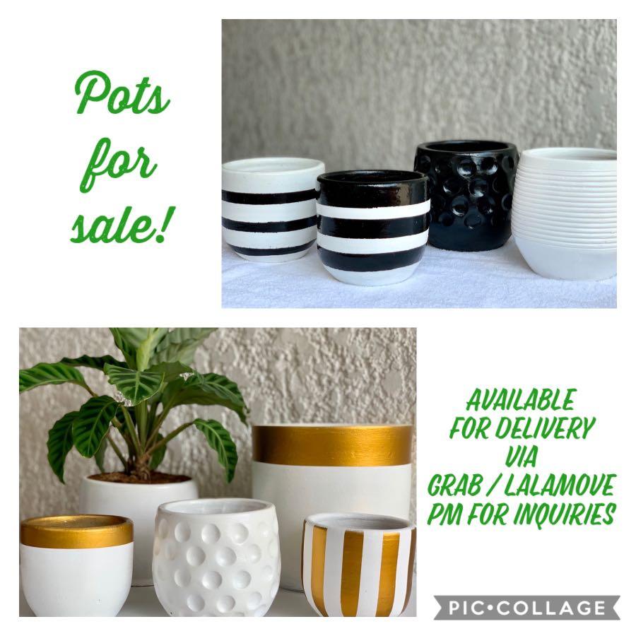 Decorative Plant Pots Gardening Flowers Plants On Carousell