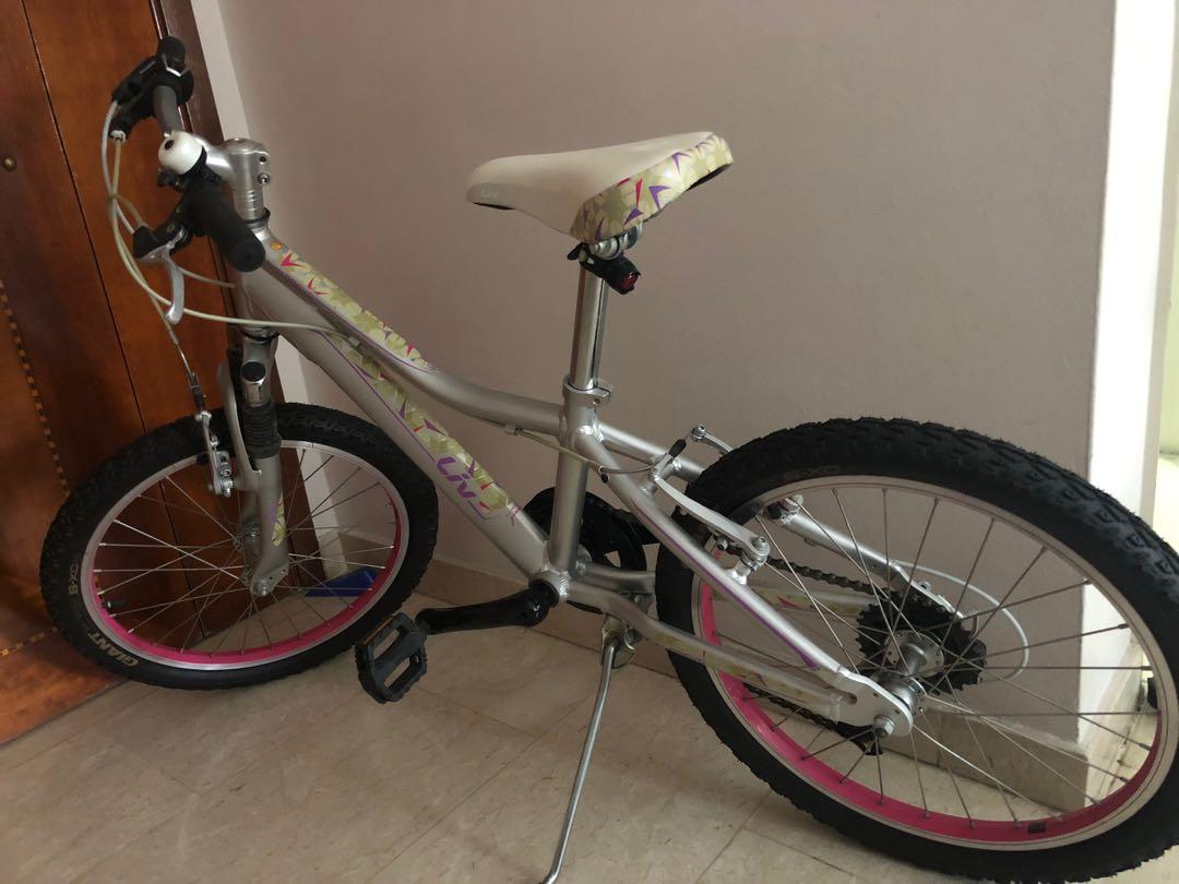 used 20 bike