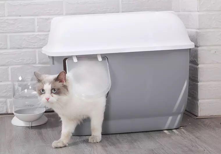 Japanese Design Cat Litter Box Preorder Pet Supplies For Cats Cat Accessories On Carousell