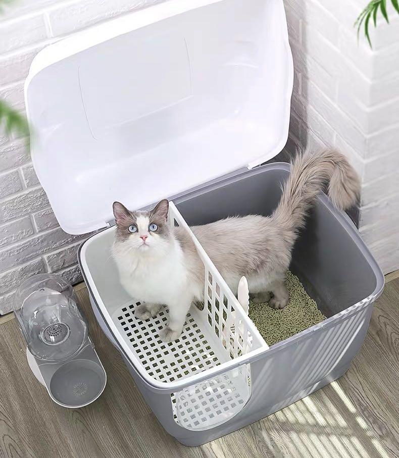 Japanese sale cat box