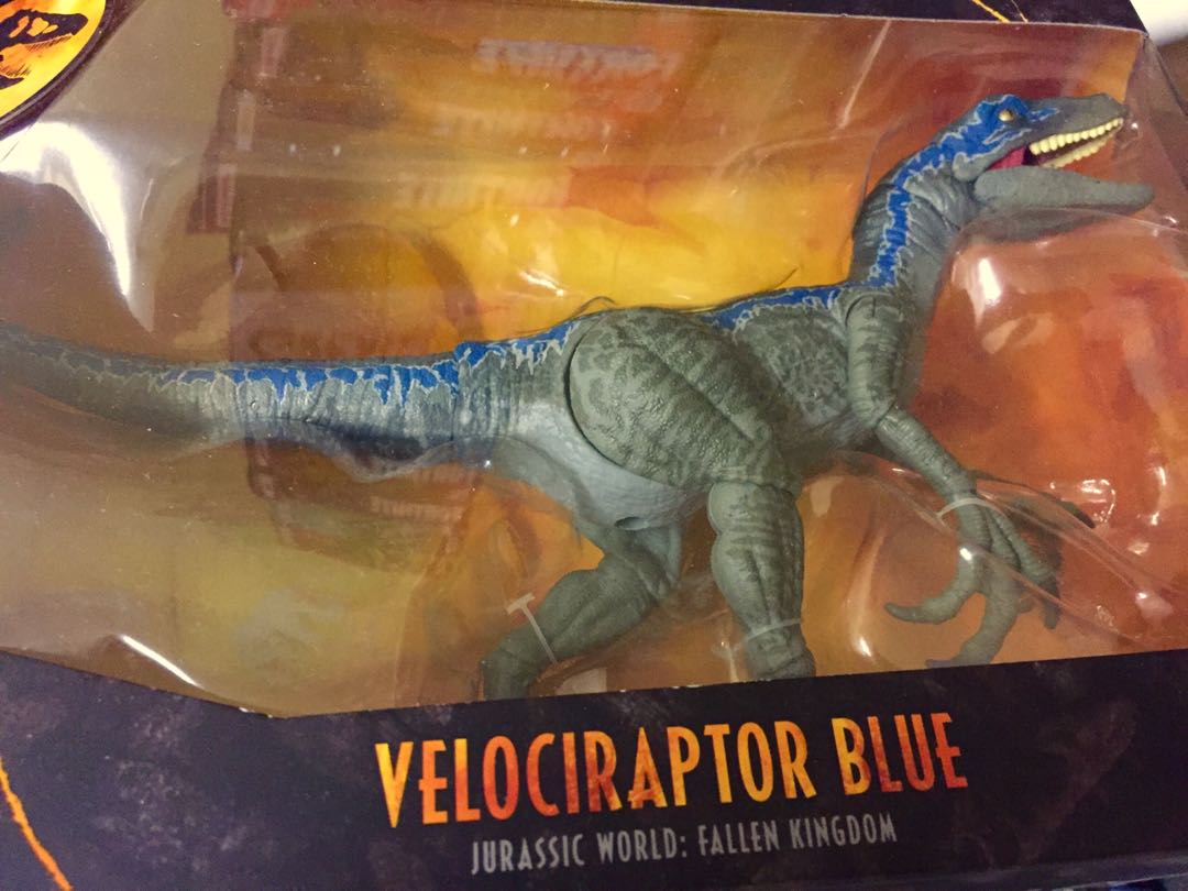 Misb Mattel Velociraptor Blue Raptor Jurassic World Amber Collection Fallen Kingdom Toys Games Action Figures Collectibles On Carousell Misb Mattel Velociraptor Blue Raptor Jurassic World Amber Collection Fallen Kingdom Toys Games Action Figures Collectibles On Carousell