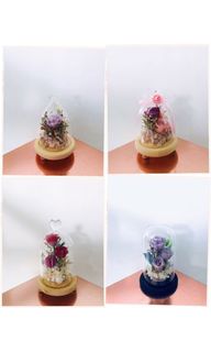 (Category: ) located in . Submitted by crystal.fleurs (Listing ID 1001850119, Image 1). Description: .
