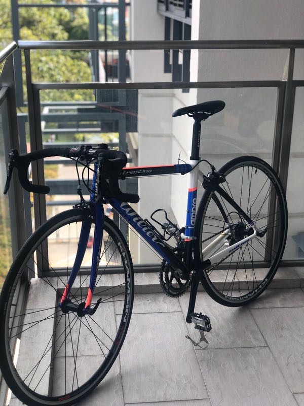 Wilier la shop triestina 2012