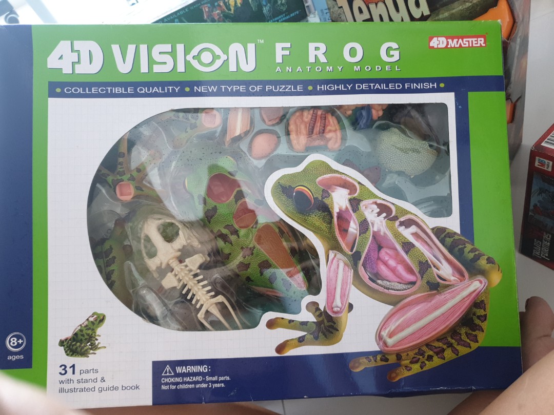 4d Vision Frog By 4d Master Toys Games Others On Carousell