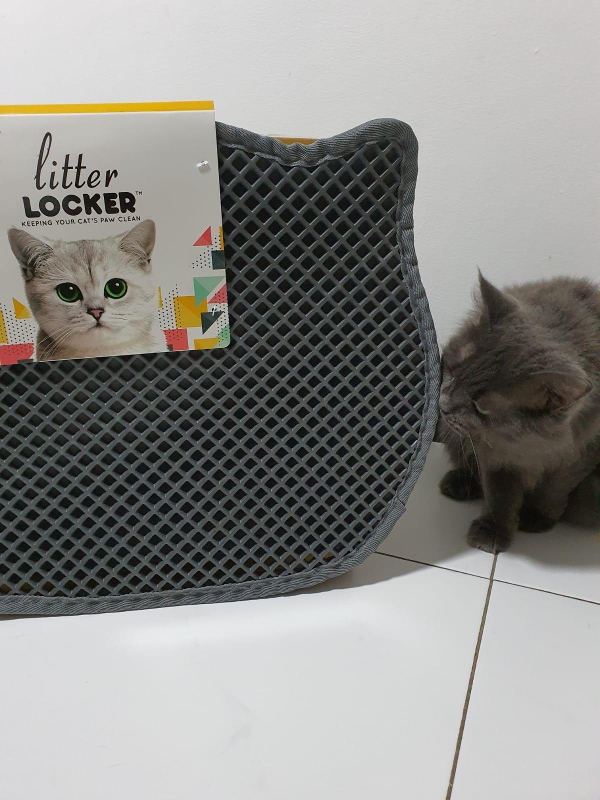 Kit Cat Litter Locker Trapping Mat Scratch Mat Litter Mat Pet