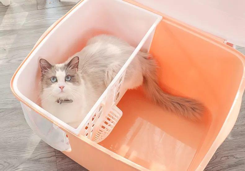 Japanese design Cat litter box (Preorder), Pet Supplies, Homes & Other