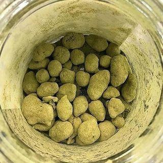 Kush