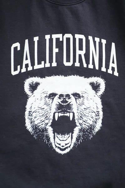 Brandy melville discount ca bear sweatshirt